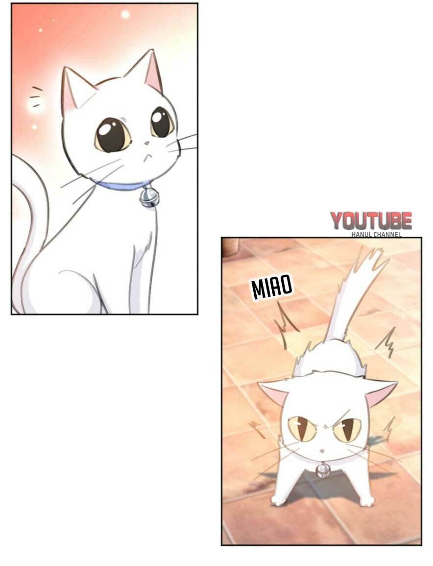 Hôn Nhân Trọng Sinh Nhẹ Nhàng Ấm Áp Sủng Vợ Chapter 178 - Trang 2