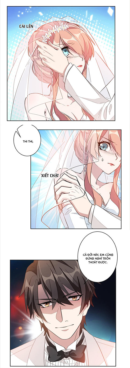 Hôn Nhân Trọng Sinh Nhẹ Nhàng Ấm Áp Sủng Vợ Chapter 3 - Trang 2