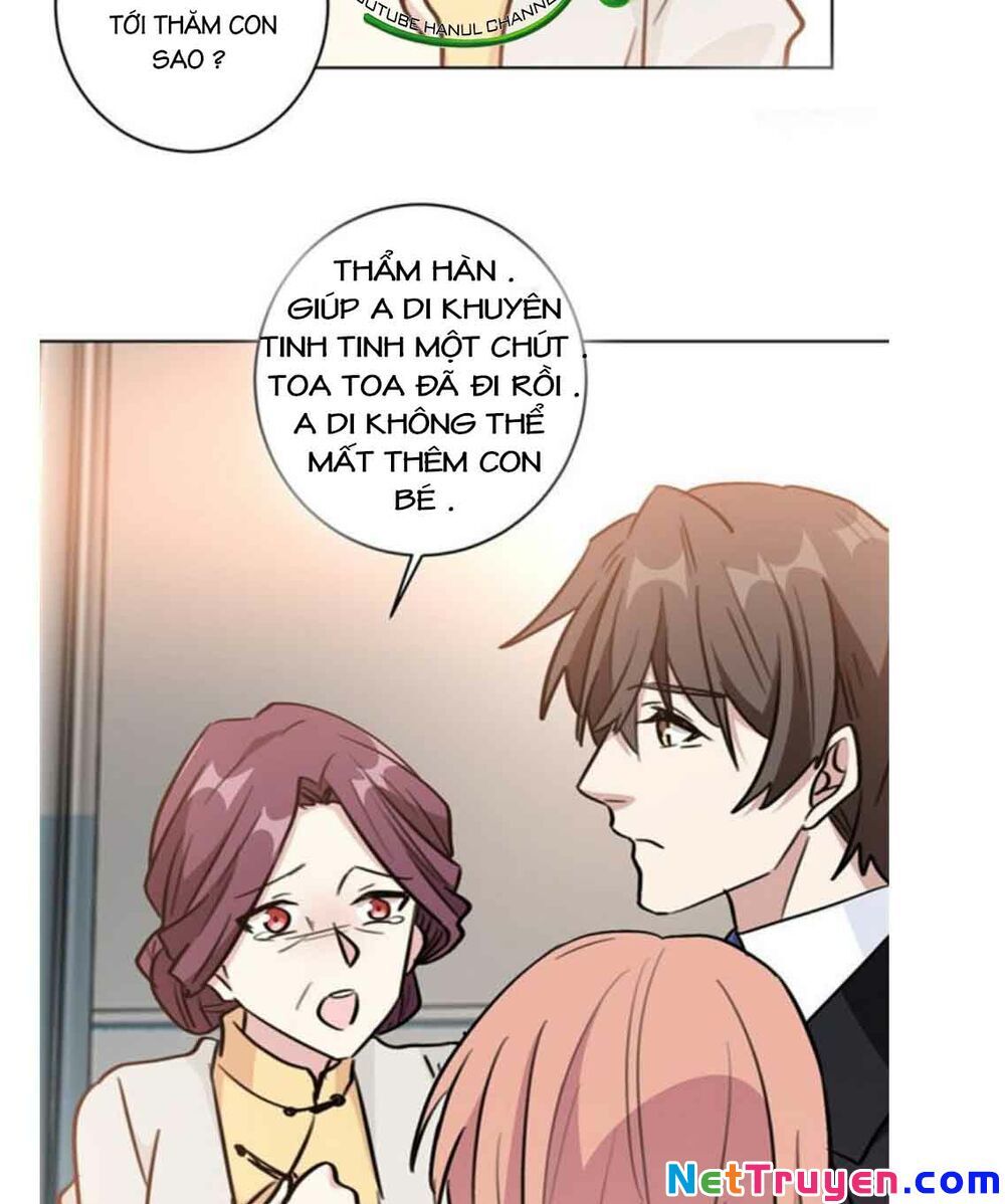 Hôn Nhân Trọng Sinh Nhẹ Nhàng Ấm Áp Sủng Vợ Chapter 97 - Trang 2