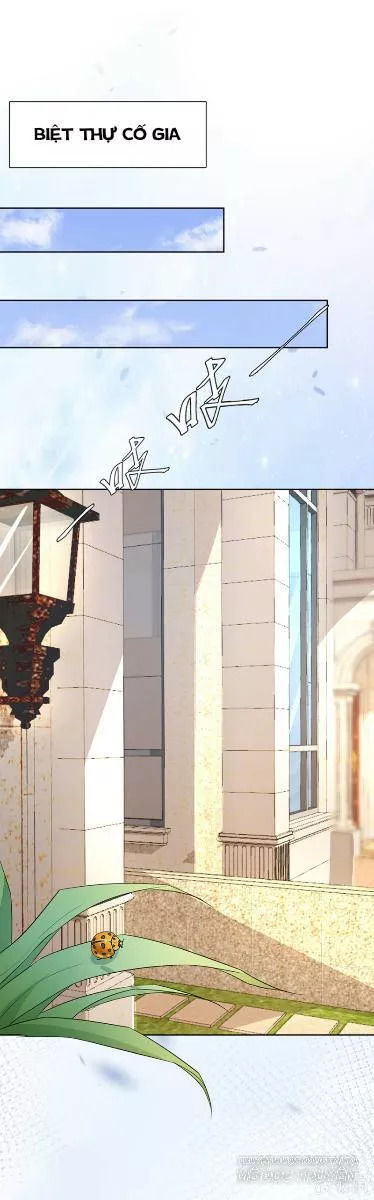 Hôn Sai 55 Lần, Nam Thần Cao Lãnh Ở Sát Vách Chapter 9 - Trang 2