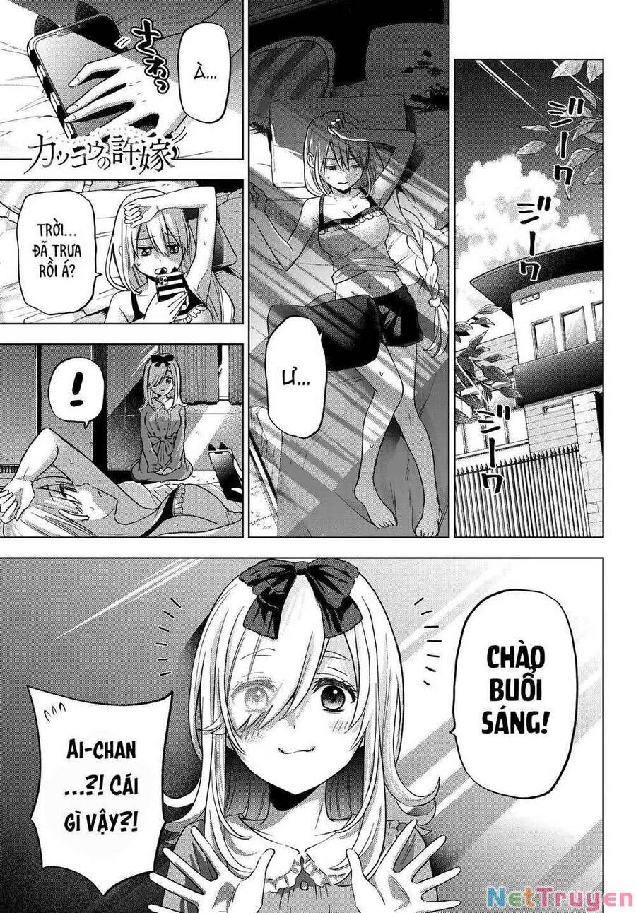 Hôn Thê Cúc Cu Chapter 72 - Trang 2