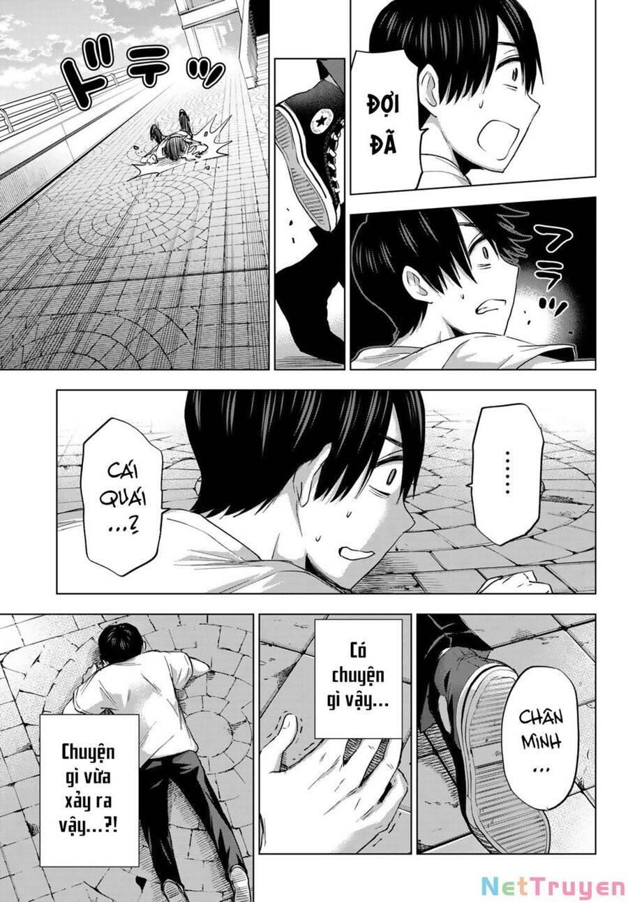 Hôn Thê Cúc Cu Chapter 73 - Trang 2