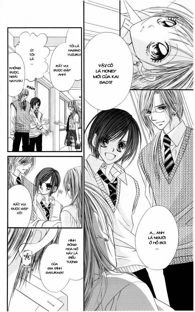 Honey X Honey Drop Chapter 1 - Trang 2