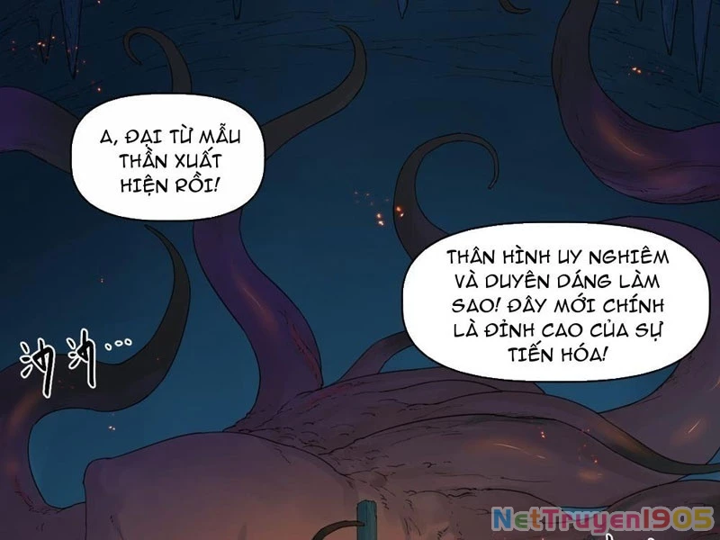 Hộp Mãnh Thú: Kỷ Nguyên Cơ Giáp Chapter 17 - Trang 2