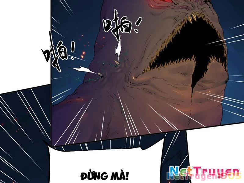 Hộp Mãnh Thú: Kỷ Nguyên Cơ Giáp Chapter 18 - Trang 2
