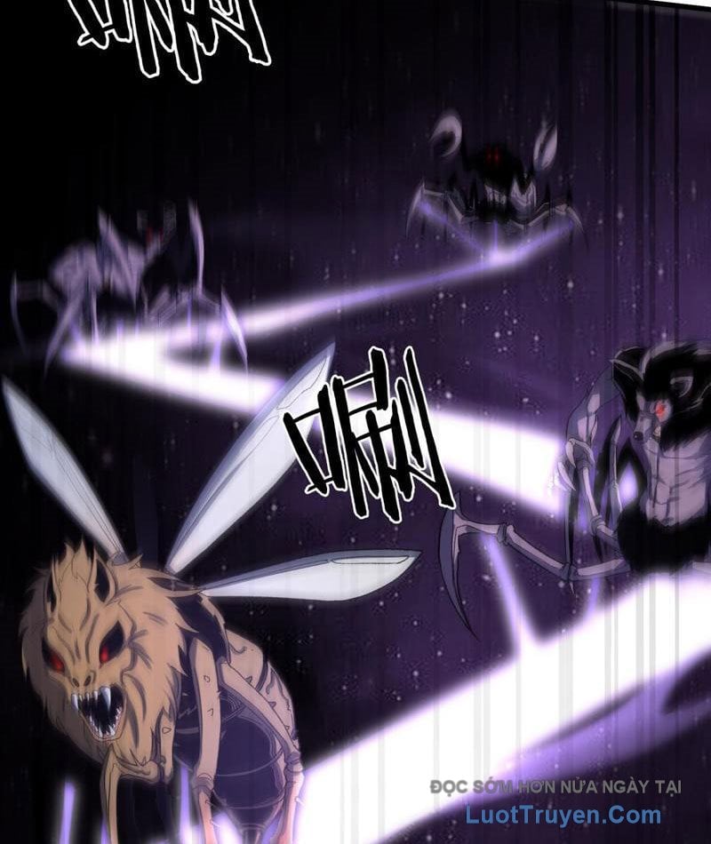 Hư Thực Chi Vương Chapter 35 - Trang 2