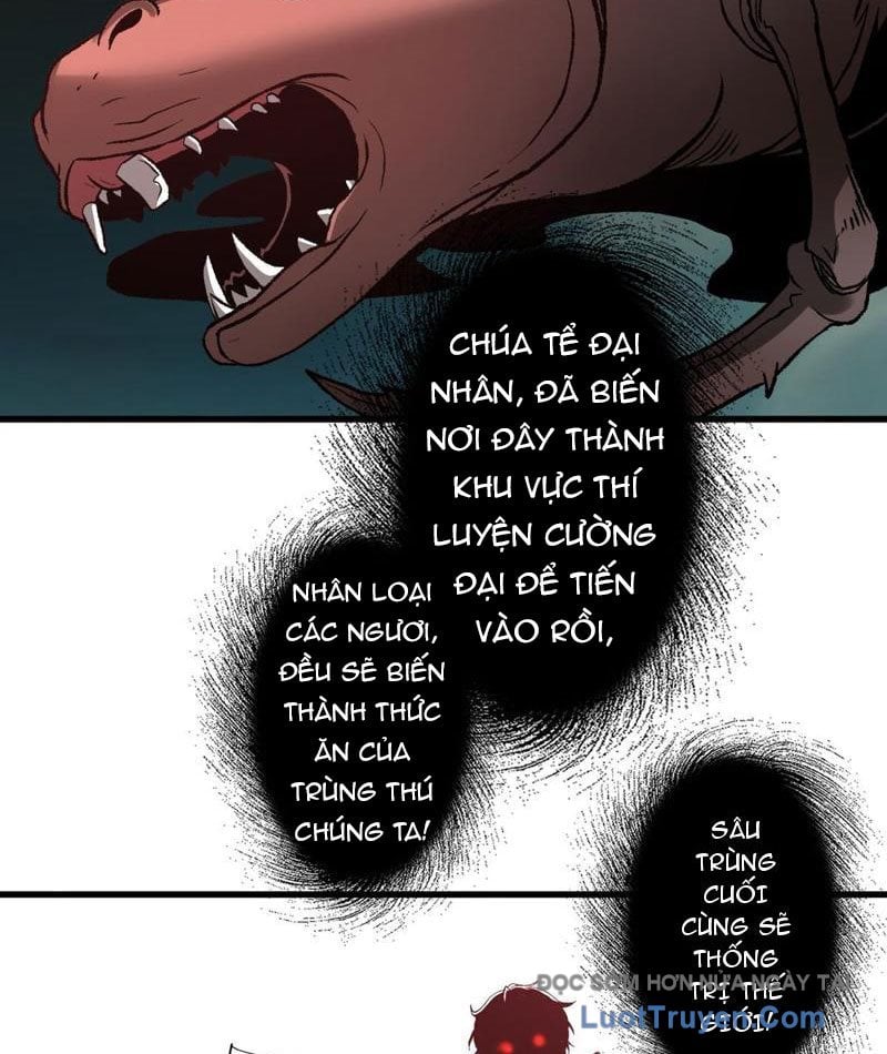 Hư Thực Chi Vương Chapter 35 - Trang 2