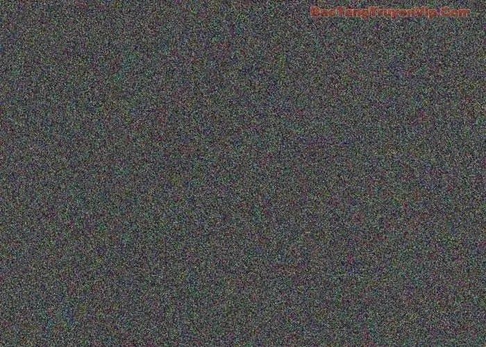 Huấn Luyện Viên Murim Thiên Tài Chapter 85 - Trang 2