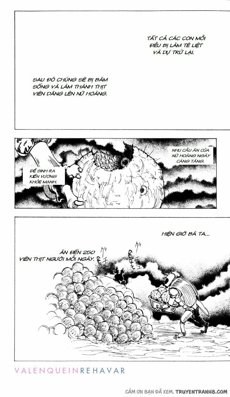 Hunter X Hunter Chapter 197 - Trang 2