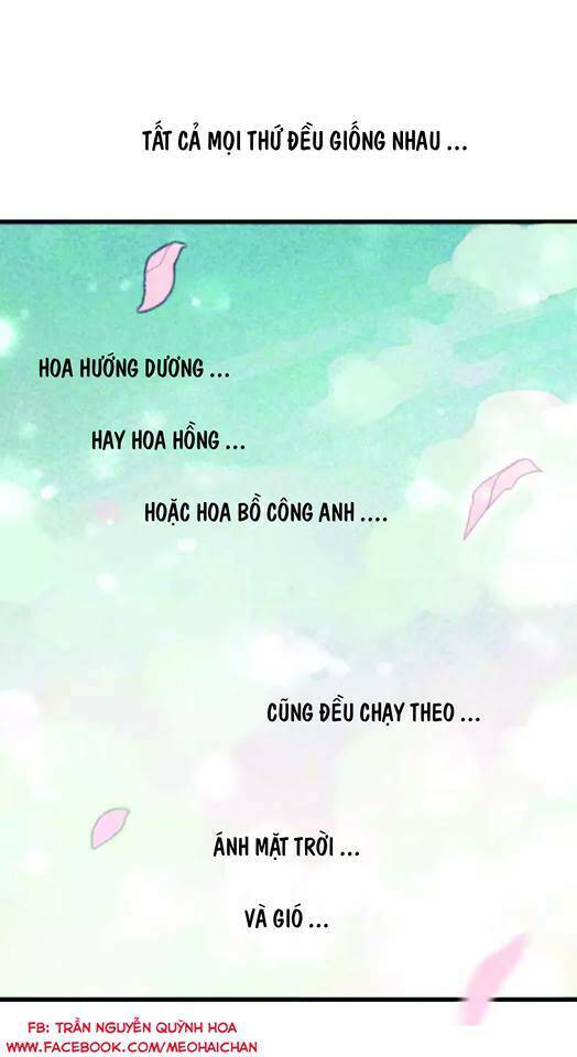 Hướng Tới Ánh Mặt Trời Chapter 1 - Trang 2