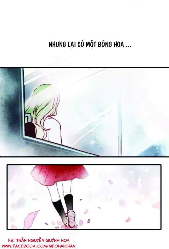 Hướng Tới Ánh Mặt Trời Chapter 1 - Trang 2