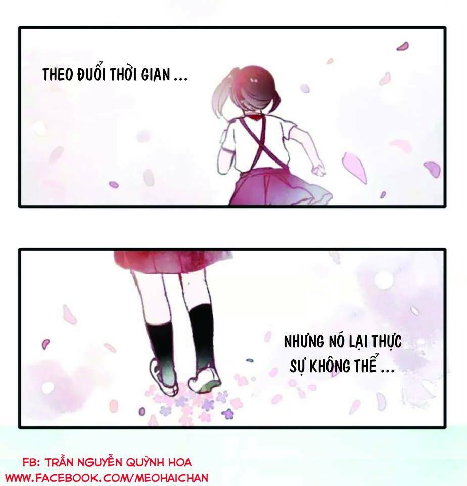 Hướng Tới Ánh Mặt Trời Chapter 1 - Trang 2