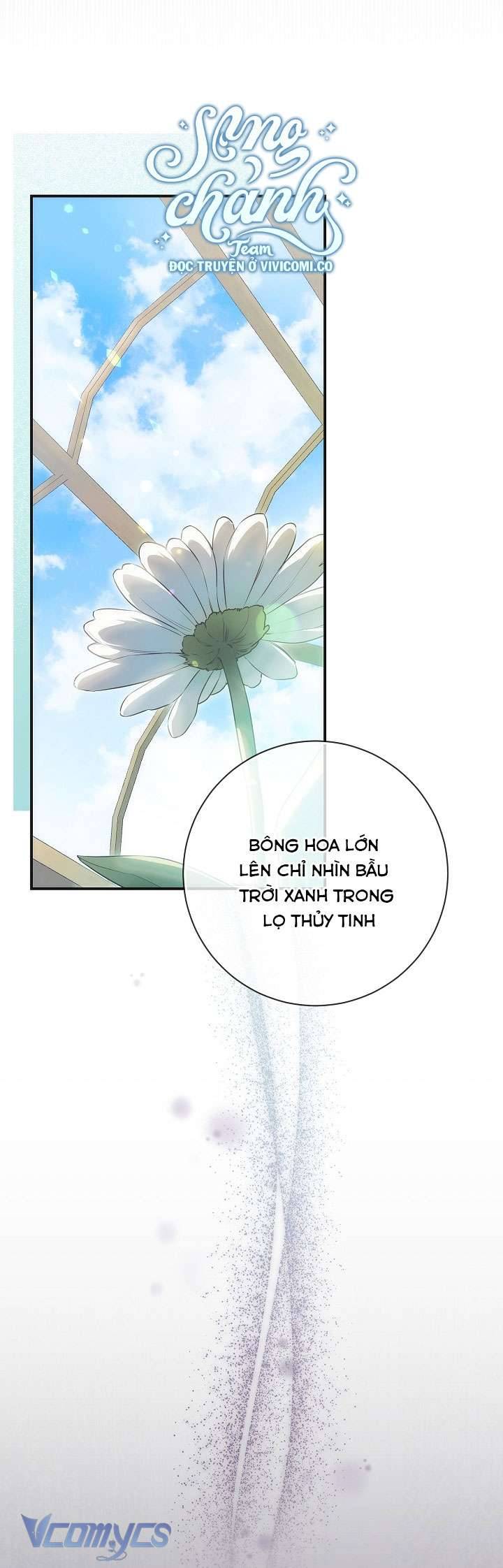 Hướng Về Ánh Dương Lần Nữa Chapter 108 - Trang 2