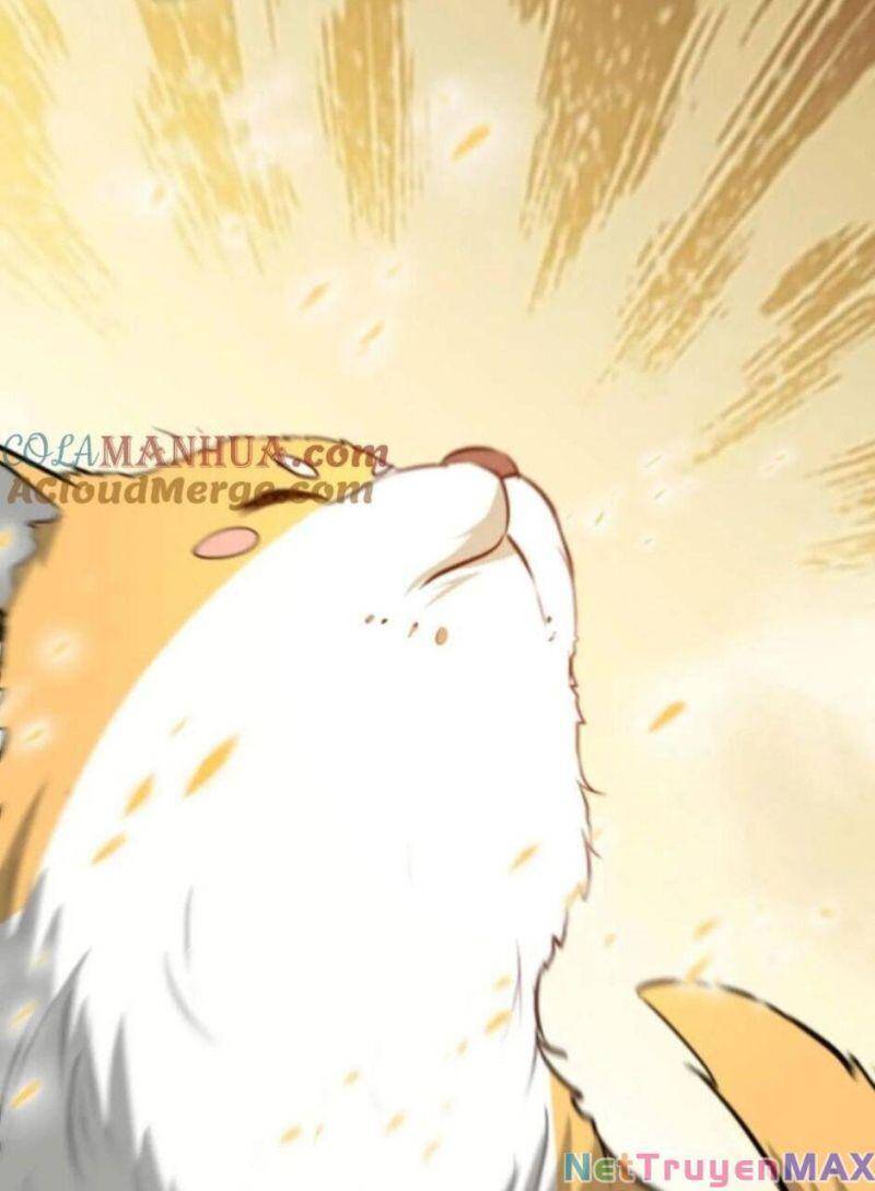 Huyền Huyễn: Ta Bắt Đầu Vô Địch Từ Bại Gia Chapter 13 - Trang 2