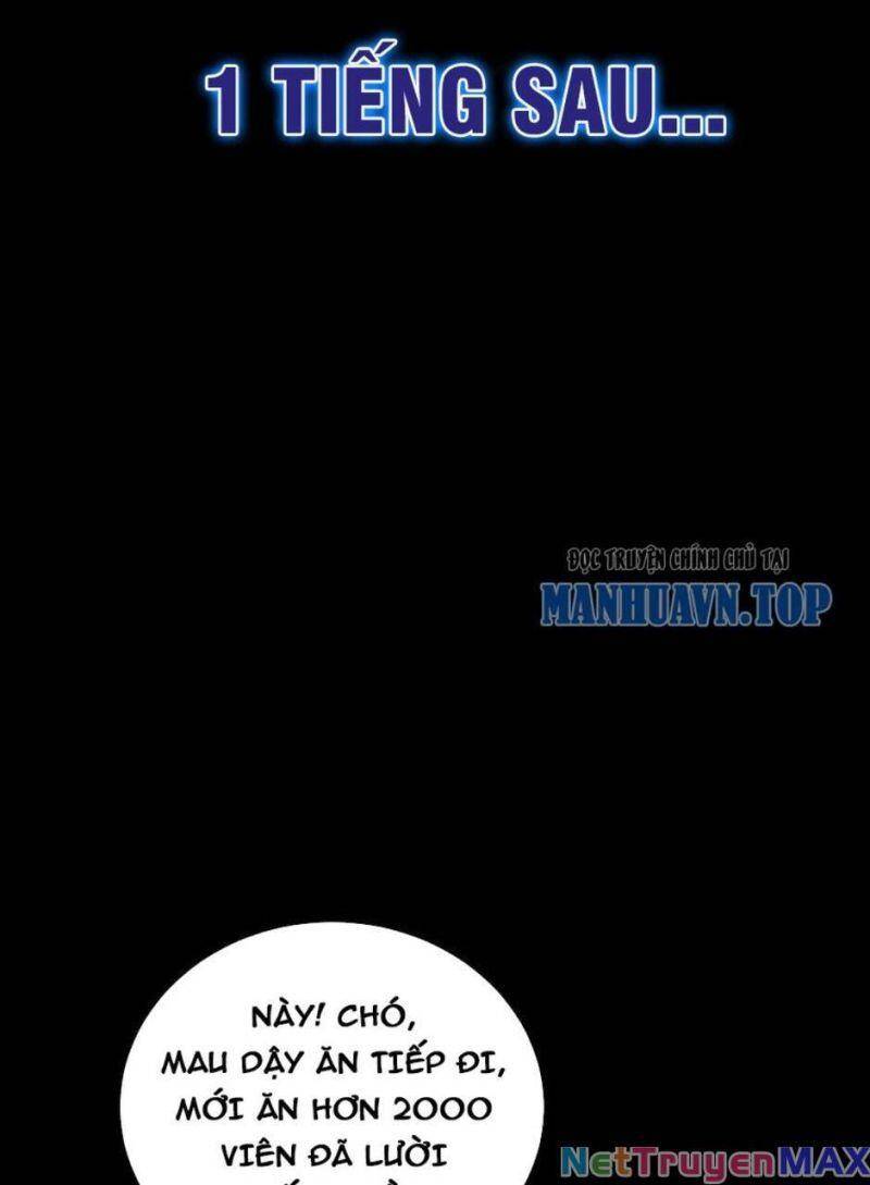 Huyền Huyễn: Ta Bắt Đầu Vô Địch Từ Bại Gia Chapter 14 - Trang 2