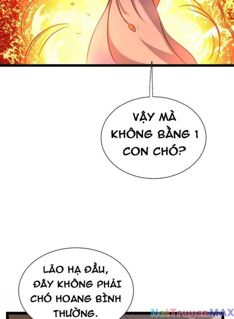 Huyền Huyễn: Ta Bắt Đầu Vô Địch Từ Bại Gia Chapter 15 - Trang 2