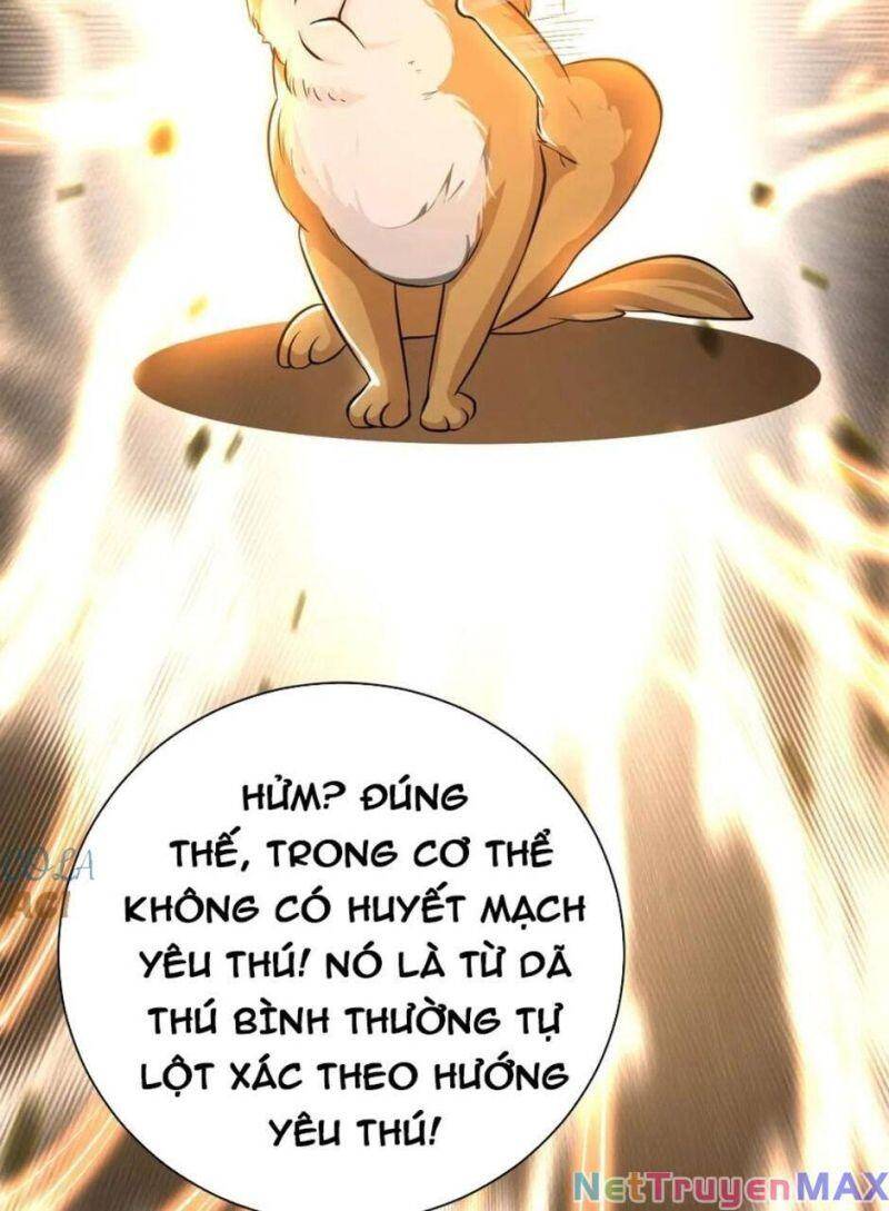 Huyền Huyễn: Ta Bắt Đầu Vô Địch Từ Bại Gia Chapter 15 - Trang 2