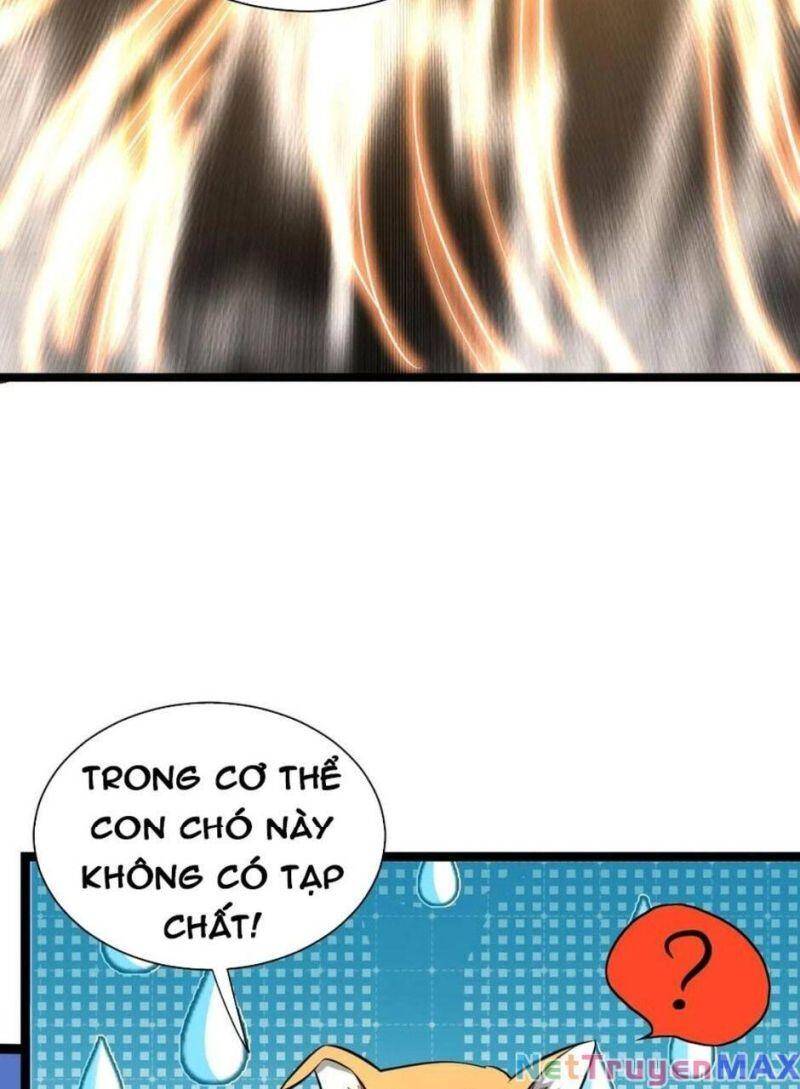 Huyền Huyễn: Ta Bắt Đầu Vô Địch Từ Bại Gia Chapter 15 - Trang 2