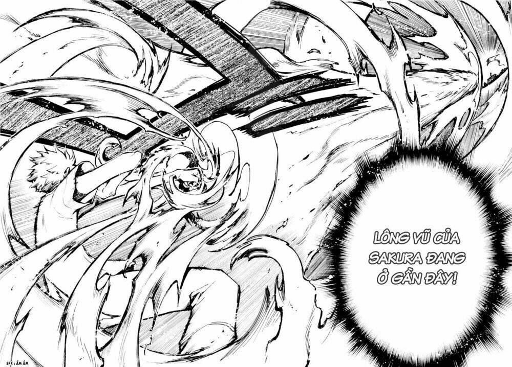 Huyền Thoại Đôi Cánh Chapter 11 - Trang 2