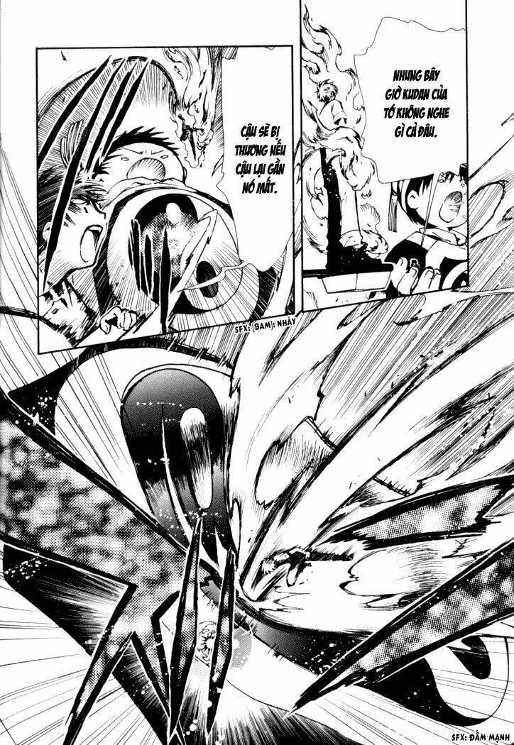 Huyền Thoại Đôi Cánh Chapter 12 - Trang 2