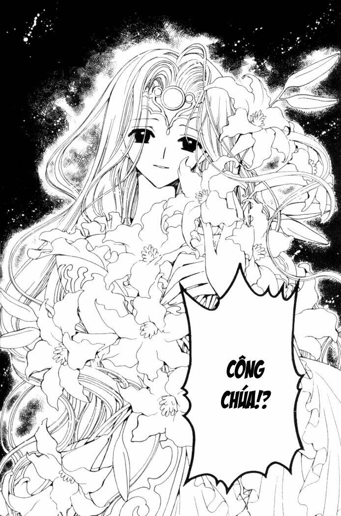 Huyền Thoại Đôi Cánh Chapter 28 - Trang 2