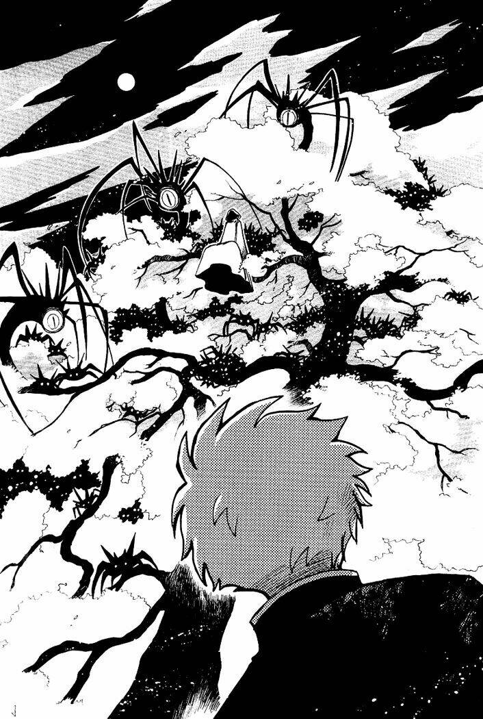 Huyền Thoại Đôi Cánh Chapter 41 - Trang 2