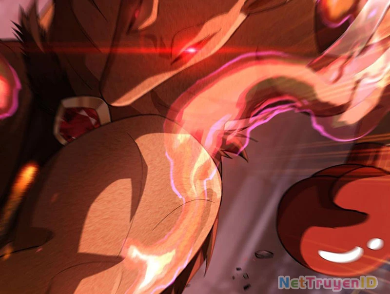 Huyễn Thú Của Ta Có Thể Tiến Hóa Vô Hạn Chapter 1 - Trang 2