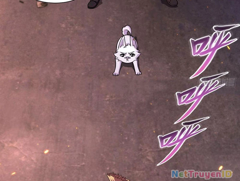 Huyễn Thú Của Ta Có Thể Tiến Hóa Vô Hạn Chapter 1 - Trang 2