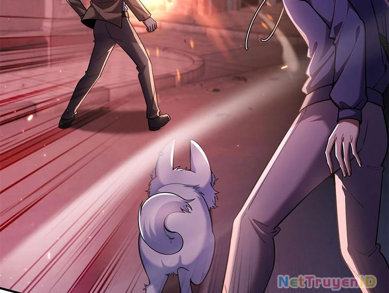 Huyễn Thú Của Ta Có Thể Tiến Hóa Vô Hạn Chapter 1 - Trang 2