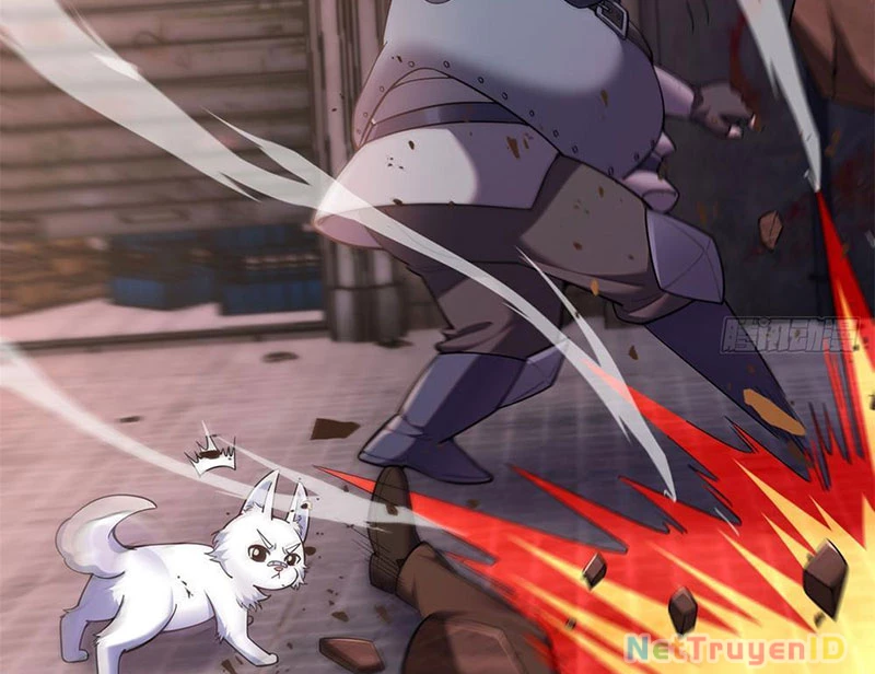 Huyễn Thú Của Ta Có Thể Tiến Hóa Vô Hạn Chapter 1 - Trang 2