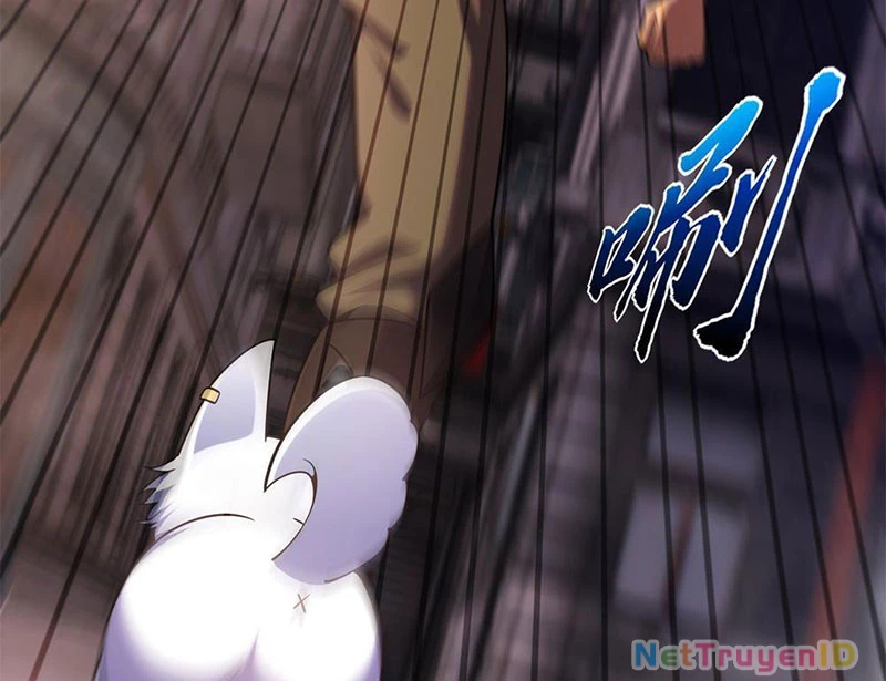 Huyễn Thú Của Ta Có Thể Tiến Hóa Vô Hạn Chapter 1 - Trang 2