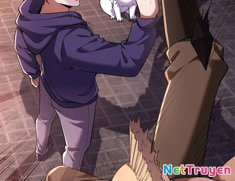 Huyễn Thú Của Ta Có Thể Tiến Hóa Vô Hạn Chapter 1 - Trang 2