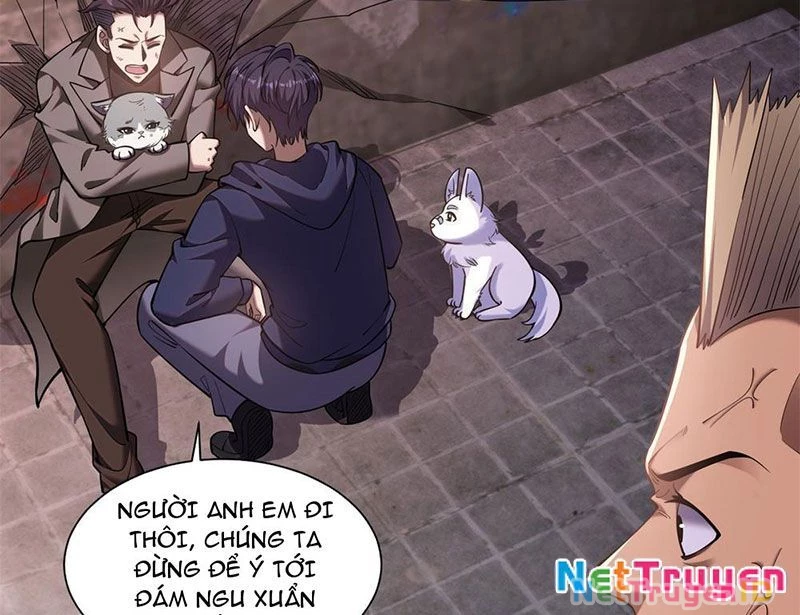 Huyễn Thú Của Ta Có Thể Tiến Hóa Vô Hạn Chapter 1 - Trang 2