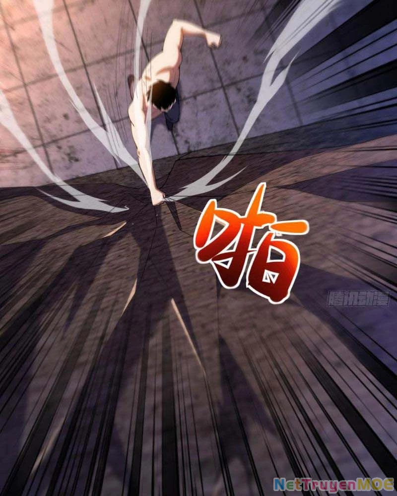 Huyễn Thú Của Ta Có Thể Tiến Hóa Vô Hạn Chapter 10 - Trang 2