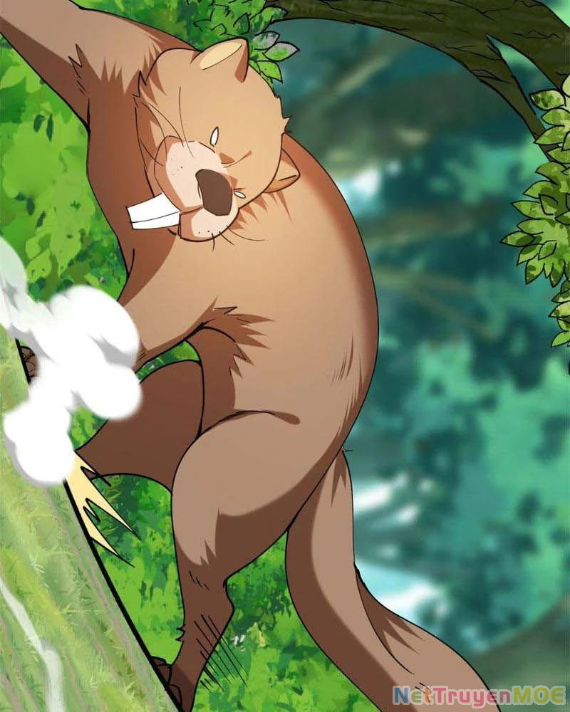 Huyễn Thú Của Ta Có Thể Tiến Hóa Vô Hạn Chapter 11 - Trang 2