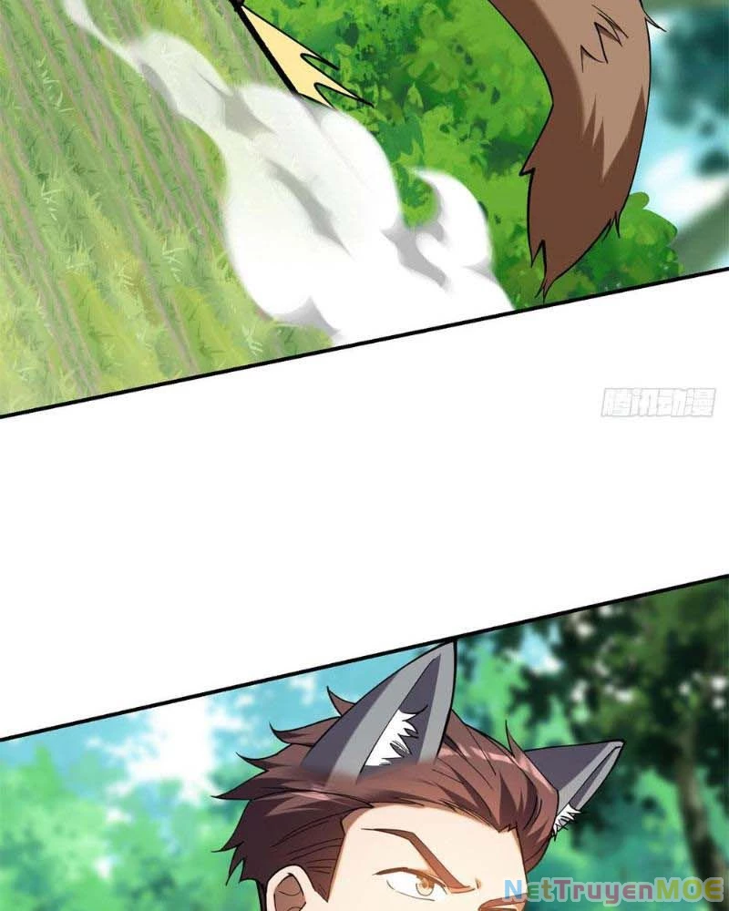 Huyễn Thú Của Ta Có Thể Tiến Hóa Vô Hạn Chapter 11 - Trang 2