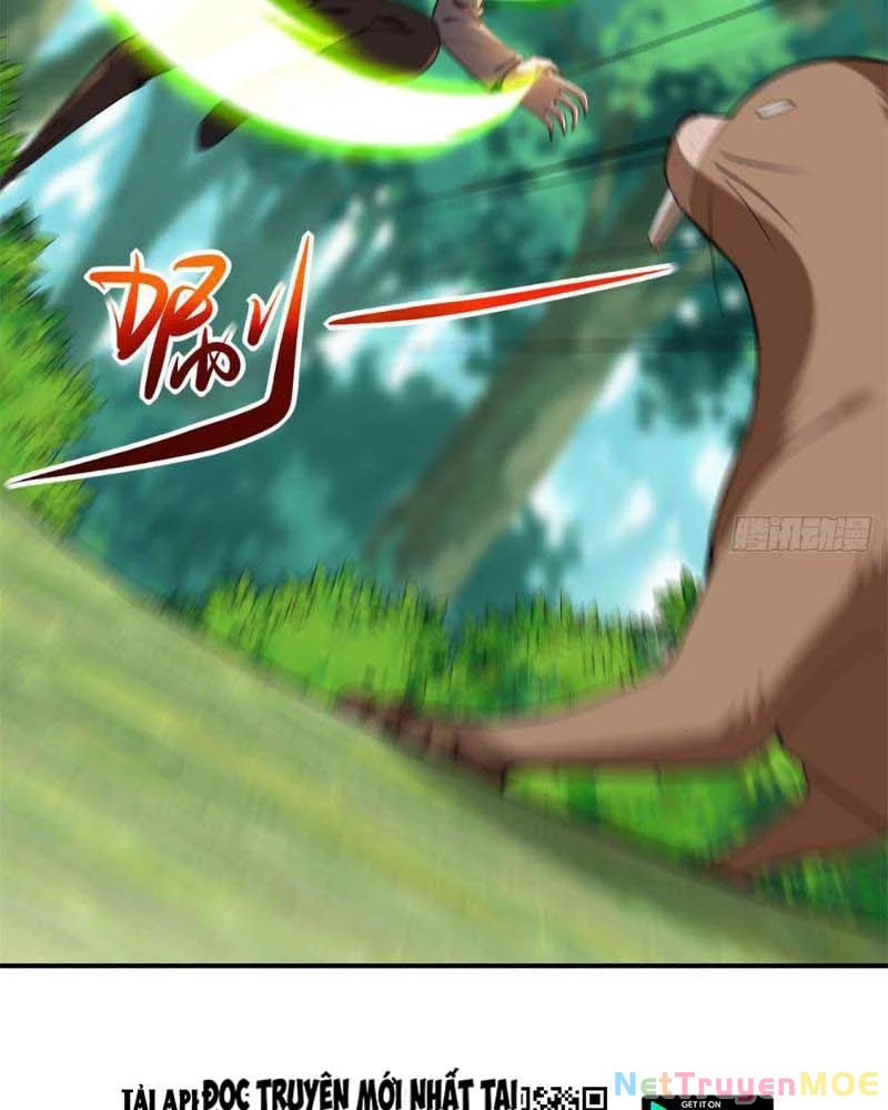 Huyễn Thú Của Ta Có Thể Tiến Hóa Vô Hạn Chapter 11 - Trang 2