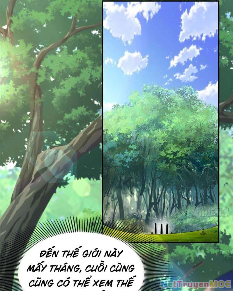 Huyễn Thú Của Ta Có Thể Tiến Hóa Vô Hạn Chapter 11 - Trang 2