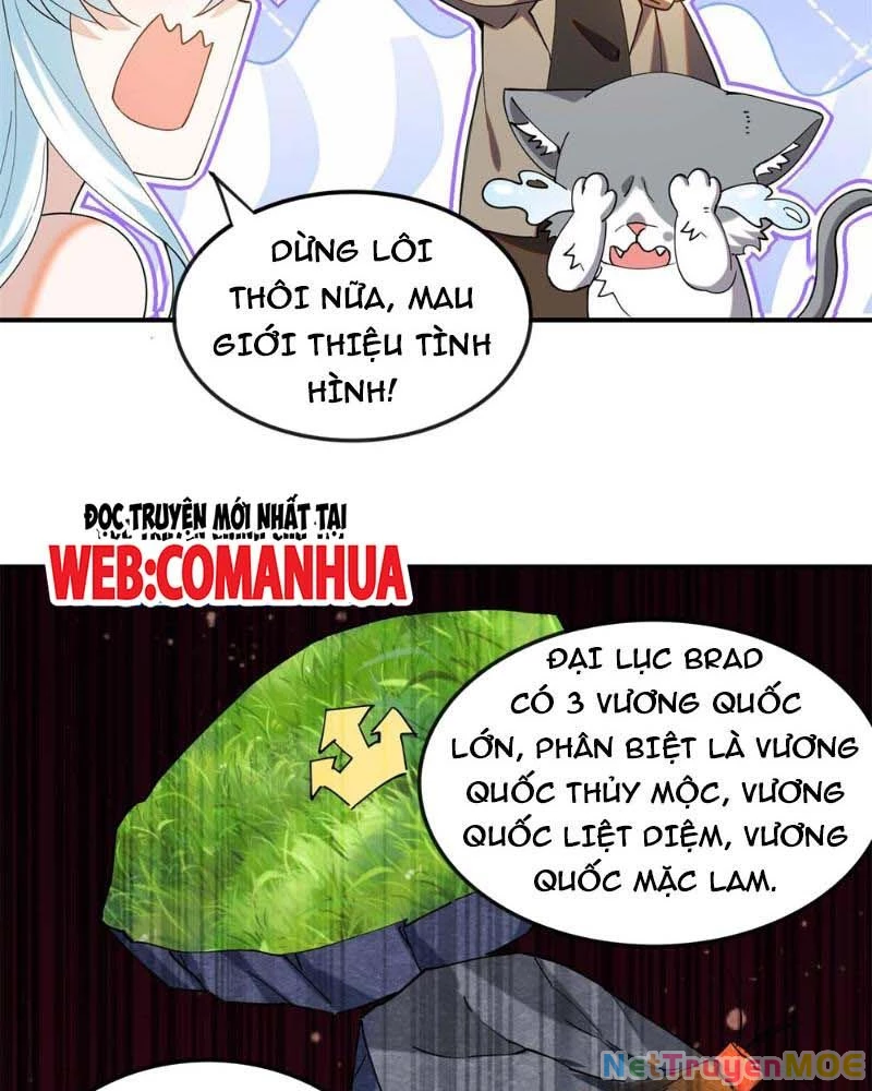 Huyễn Thú Của Ta Có Thể Tiến Hóa Vô Hạn Chapter 11 - Trang 2