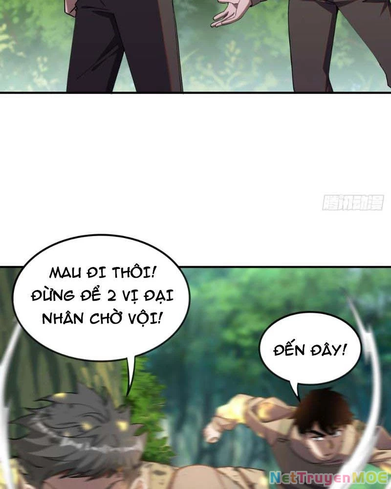 Huyễn Thú Của Ta Có Thể Tiến Hóa Vô Hạn Chapter 11 - Trang 2