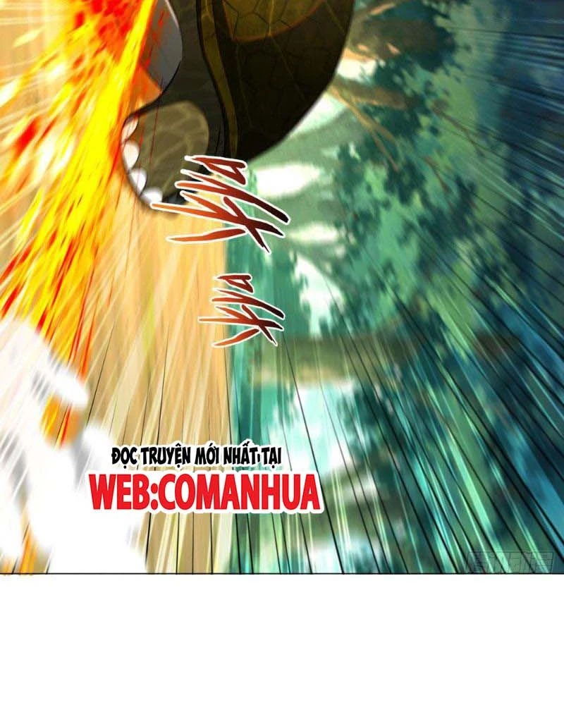 Huyễn Thú Của Ta Có Thể Tiến Hóa Vô Hạn Chapter 12 - Trang 2