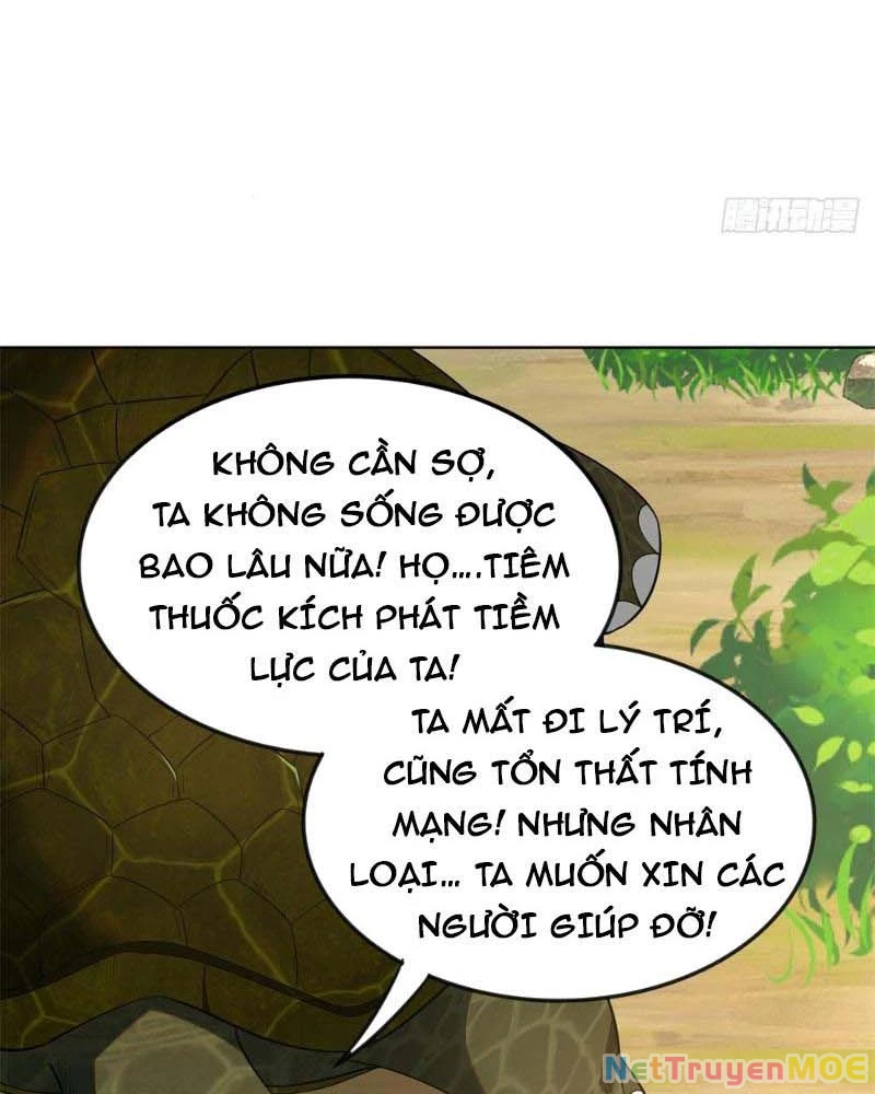 Huyễn Thú Của Ta Có Thể Tiến Hóa Vô Hạn Chapter 12 - Trang 2