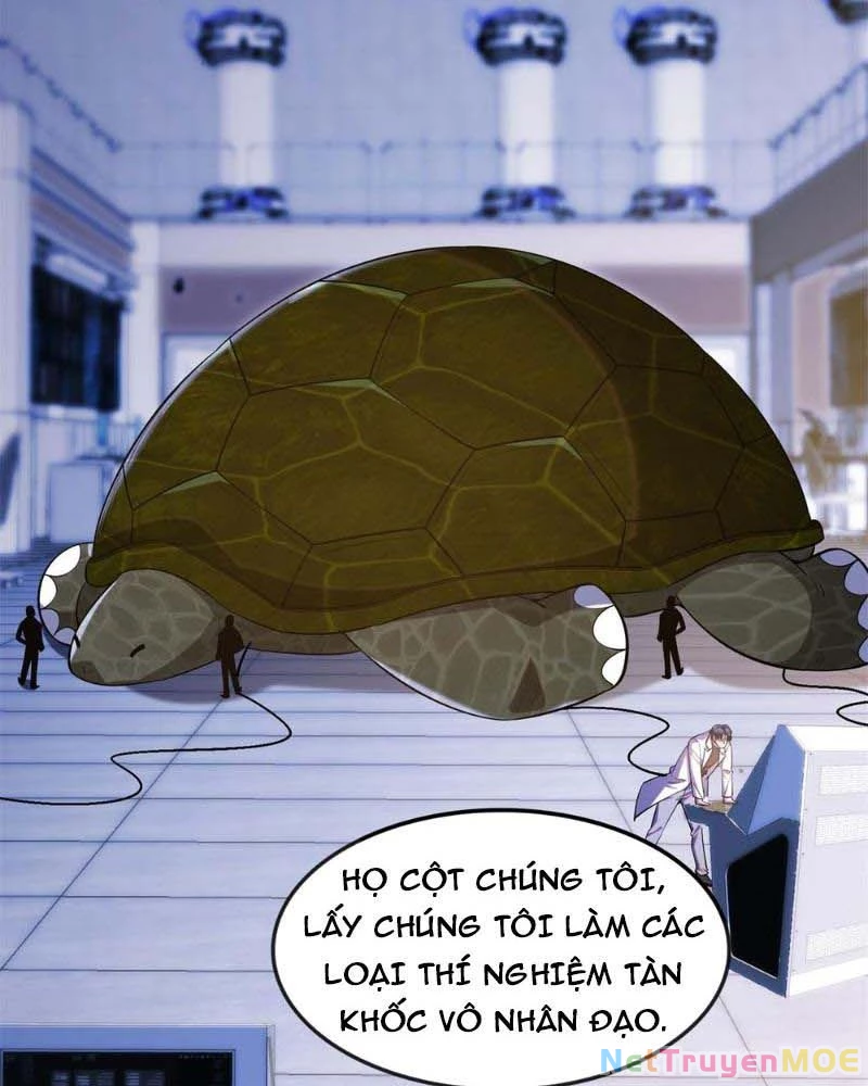 Huyễn Thú Của Ta Có Thể Tiến Hóa Vô Hạn Chapter 12 - Trang 2