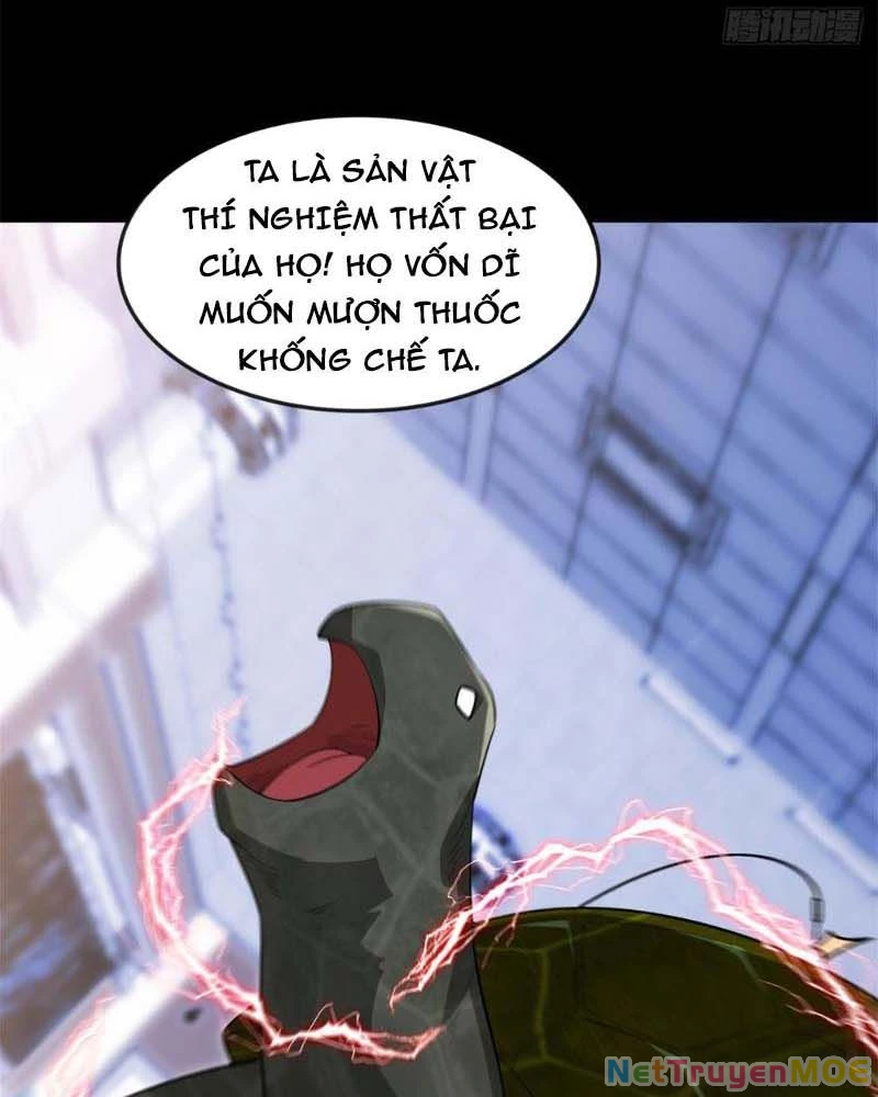 Huyễn Thú Của Ta Có Thể Tiến Hóa Vô Hạn Chapter 12 - Trang 2