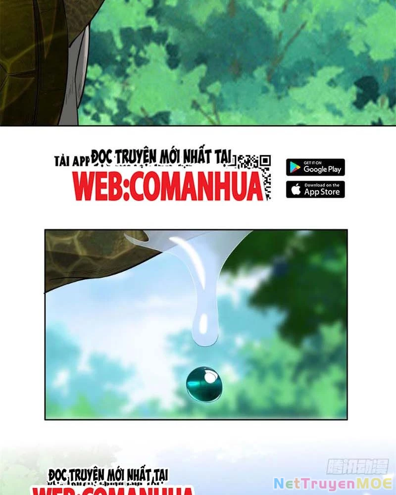 Huyễn Thú Của Ta Có Thể Tiến Hóa Vô Hạn Chapter 12 - Trang 2