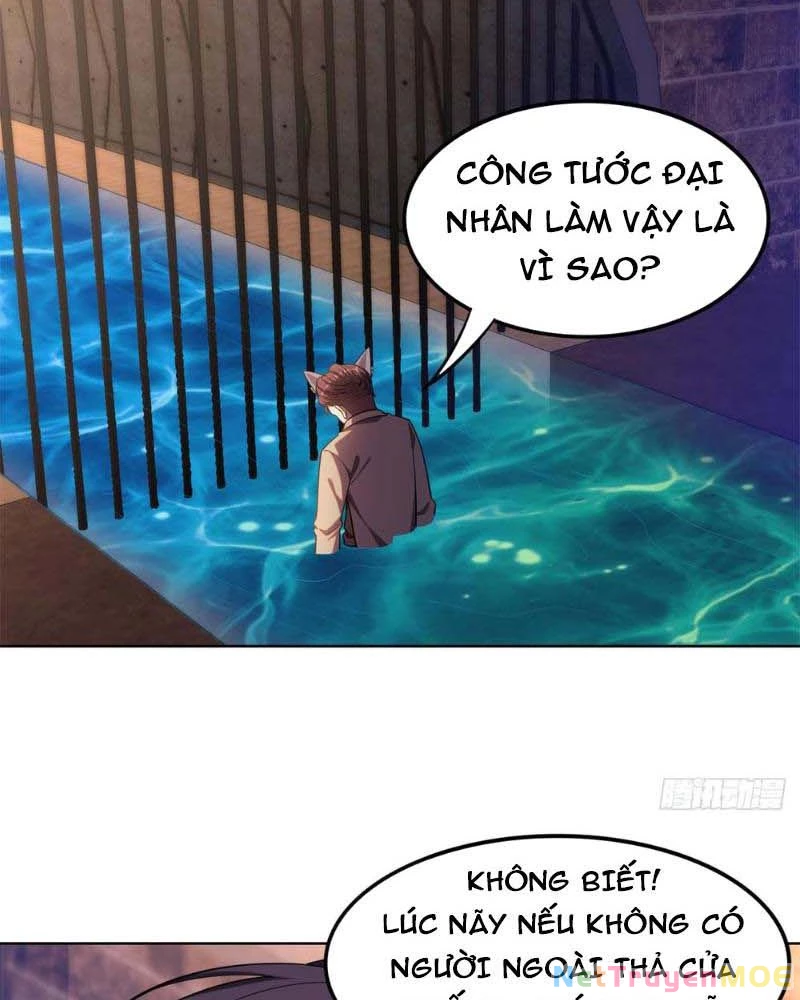 Huyễn Thú Của Ta Có Thể Tiến Hóa Vô Hạn Chapter 13 - Trang 2