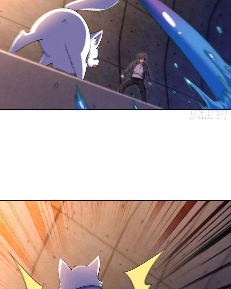 Huyễn Thú Của Ta Có Thể Tiến Hóa Vô Hạn Chapter 13 - Trang 2