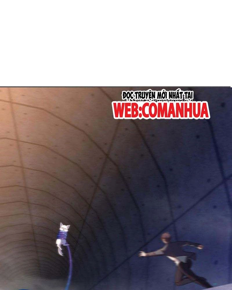 Huyễn Thú Của Ta Có Thể Tiến Hóa Vô Hạn Chapter 13 - Trang 2