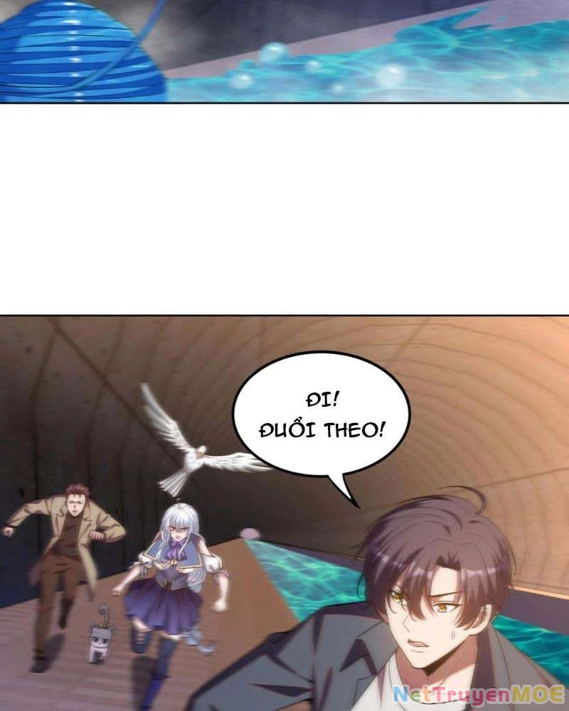 Huyễn Thú Của Ta Có Thể Tiến Hóa Vô Hạn Chapter 13 - Trang 2