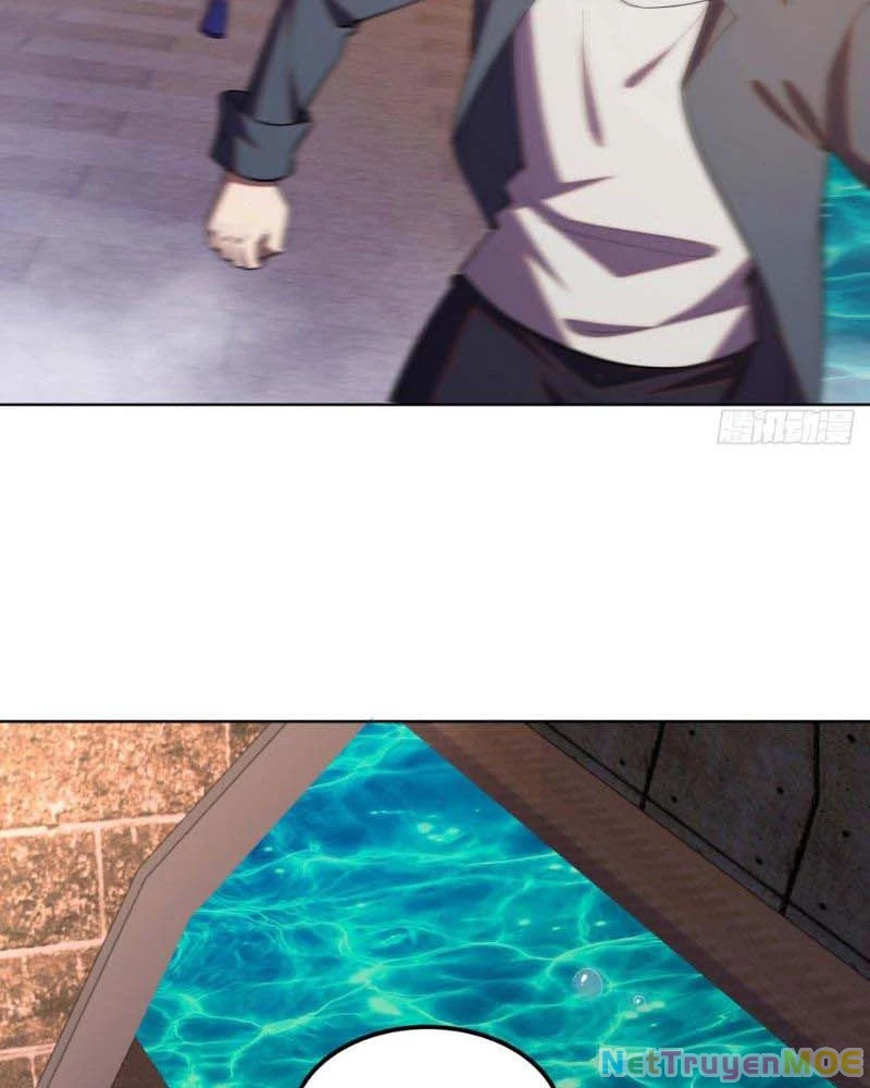 Huyễn Thú Của Ta Có Thể Tiến Hóa Vô Hạn Chapter 13 - Trang 2